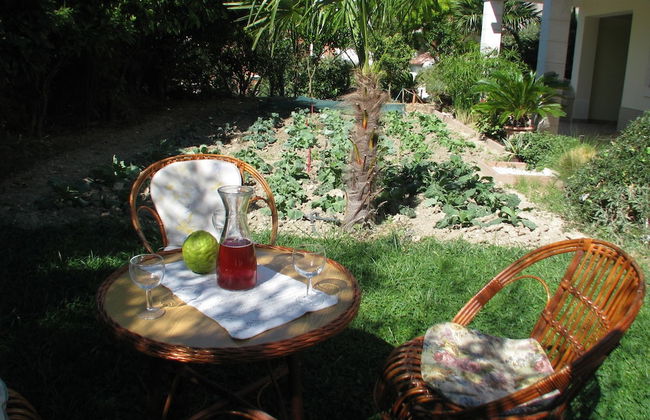 Apartments Miljak - Foto 36