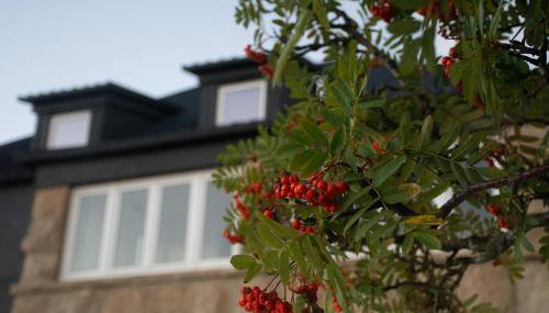 Casal dos Netos - Foto 3