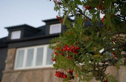 Casal dos Netos - Foto 3