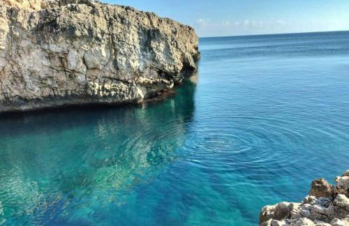 Flora Plemmirio Home - Foto 22