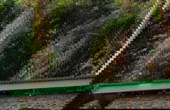 Harrera Perhentian Long Beach - Foto 59