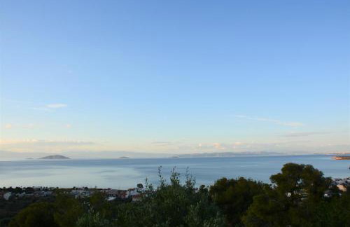 Jimi's House - Foto 29