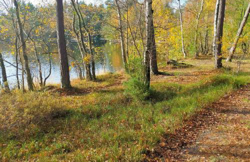 Kaszubski Zakątek - Foto 70
