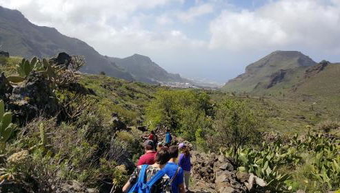 Chinyero Path - Foto 2