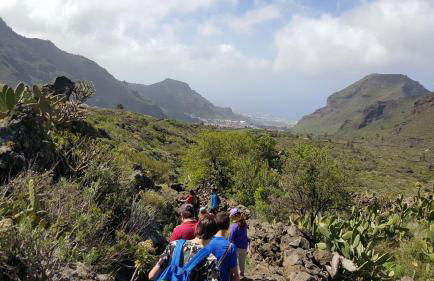 Chinyero Path - Foto 2