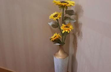 Rose Sun House - Foto 30