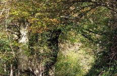 La Fuente de la Quintana - Foto 32