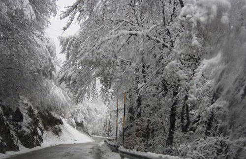 Albergo Diffuso Faller - Foto 70