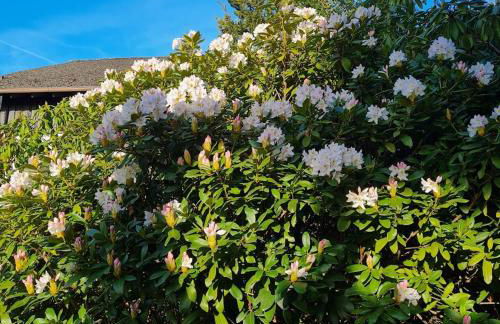 Ferienwohnung Martin - Foto 26