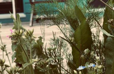 TINYLODGE am Ellertshäuser See - Foto 28