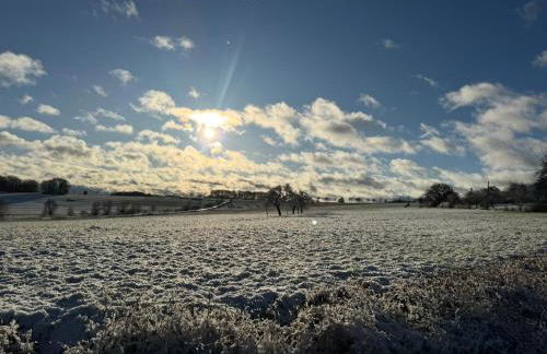Haus Dorfidyll - Foto 43