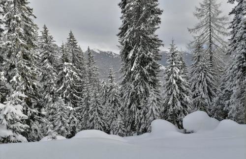 Gianni Rocca Apartments - Foto 53