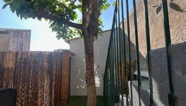 Les Loriots - Foto 3