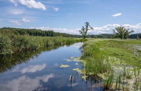 Amazing Home In Gietrzwald With Wifi - Foto 6