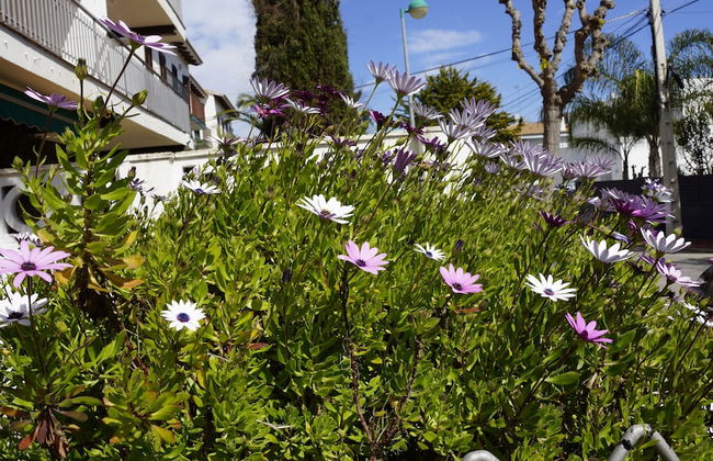 Sitges-Vallpineda - Foto 22