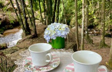 Chacara Sossego da Natureza - Foto 48