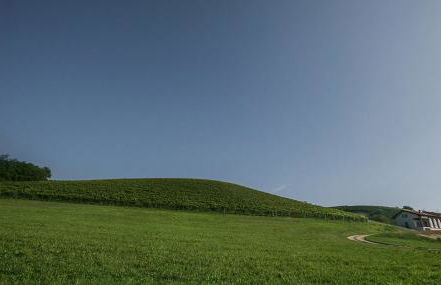 Cascina San Giulio - Foto 15