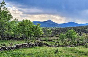 Refugios Del Valle Negro - Foto 64