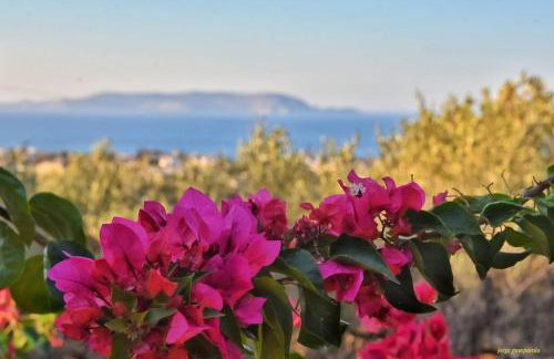 Roboboss Garden Rooms - Foto 12