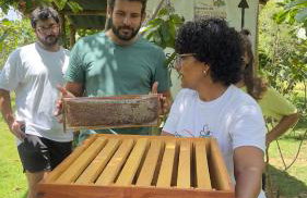 Vale das Rainhas - Photo 16