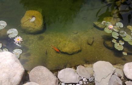 Taormina Villa Ibiscus Alcantara - Foto 31