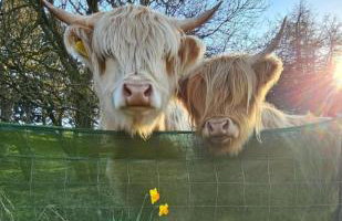 Glen Roe - 3 Bed Lodge on Friendly Farm Stay - Foto 16