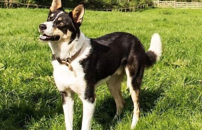 Lower Micklin Farm - Photo 17