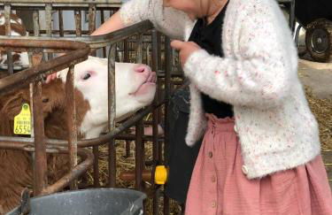 Bauernhof Nißl - Foto 55