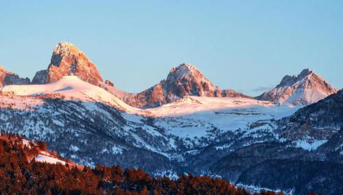 Basecamp Stays: Upscale Getaway Shuttle Hot Tubs - Foto 4