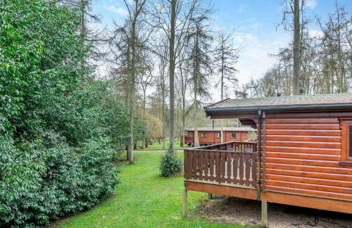 Holly Lodge - Uk37185 - Foto 24