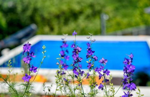 Gorgeous Home In Vrtlinovec With Sauna - Foto 15