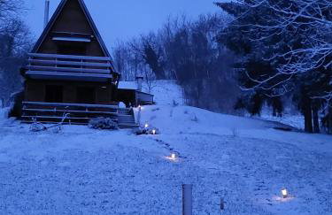 Forest paradise - Photo 37