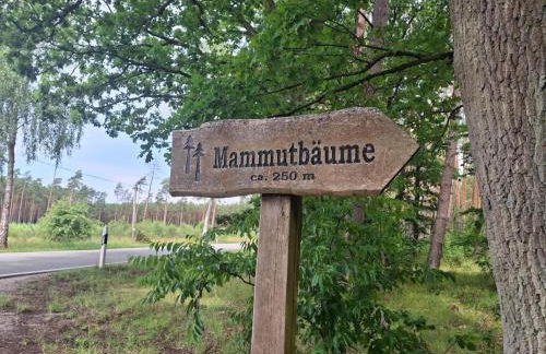 Chalet in Wendorf - Photo 32