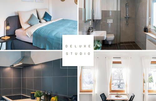 Deluxe Studio, PS4, Parken, Netflix, Klinikum - Foto 1