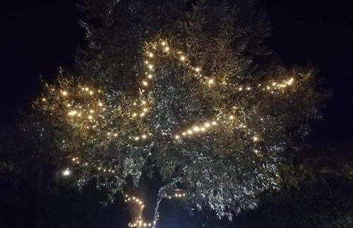 Cascina Borgofrancone - Foto 66