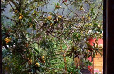 Casa Crudo, PRIVACIDADE NA MATA ATLÂNTICA, piscina, trilhas e descanso - Foto 20