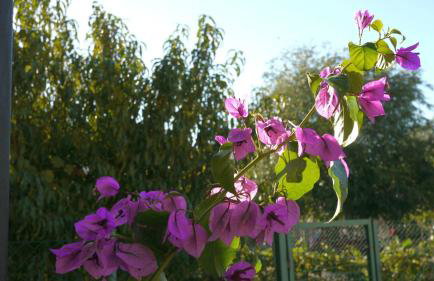 Apartment Slavica - Foto 73
