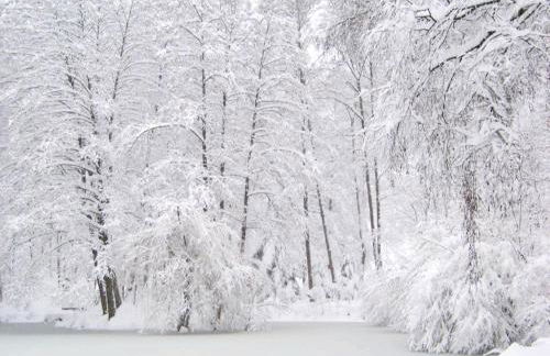 Ferienwohnung am Waldsee mit Schwimmbad - Foto 35