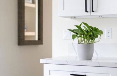 The Rosemont III - La Jolla Luxury - Photo 14