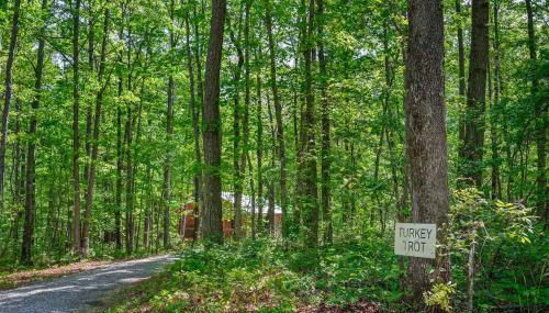 Turkey Trot - Foto 3, Other