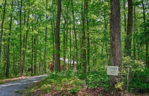 Turkey Trot - Foto 3