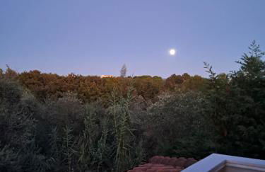 Monolocale x 2 a 1,6 km da Castiglioncello - Foto 6