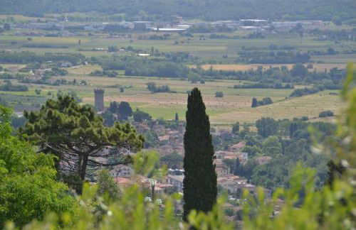 Il Rustico Vicopisano - Foto 40