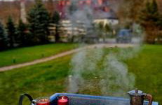 Bieszczadzki Rewir - Foto 22