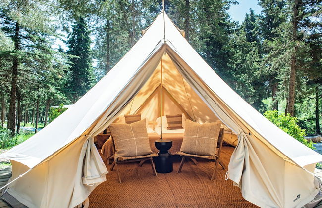 DOMA Portugal - Foto 14