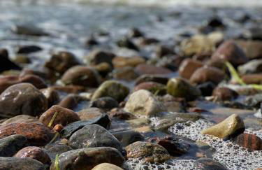 Ferienwohnung Groß Zicker - Foto 15