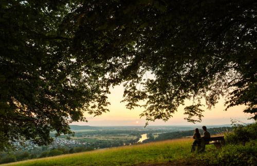Modernes Balkon Apart"One" - Toplage mit Parkplatz - Foto 25