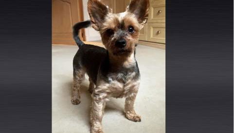 Westertonhill Lodge - 3 Double Bedrooms Sleeps 8 With Private Hot Tub Hire Available - Foto 5