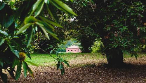 Villa Flavia - Foto 5, Garden view