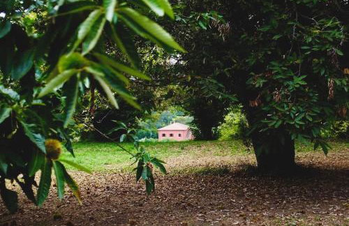 Villa Flavia - Foto 5